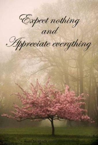 expect-nothing-and-appreciate-everything